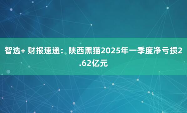 智选+ 财报速递:陕西黑猫2025年一季度净亏损2.62亿元