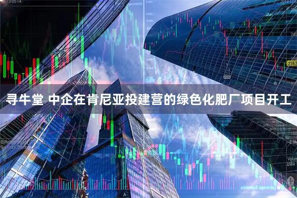 寻牛堂 中企在肯尼亚投建营的绿色化肥厂项目开工
