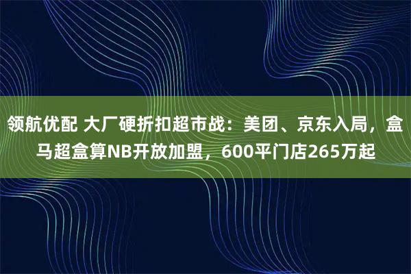 领航优配 大厂硬折扣超市战：美团、京东入局，盒马超盒算NB开放加盟，600平门店265万起